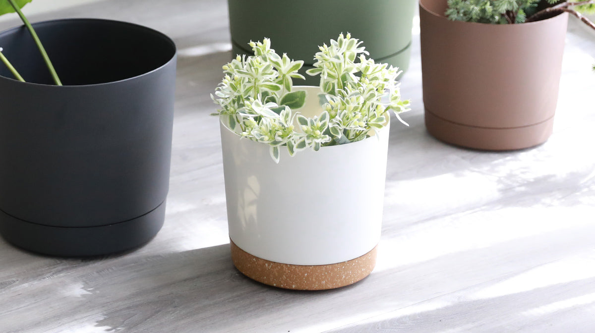 Small Planter