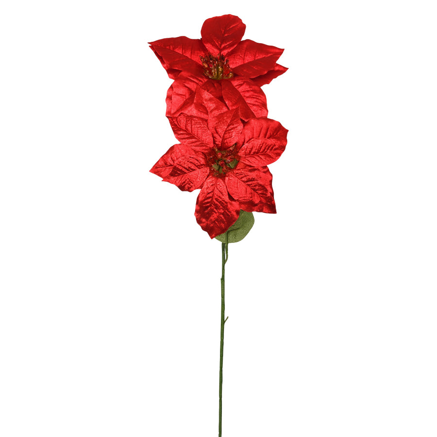 #color_Red