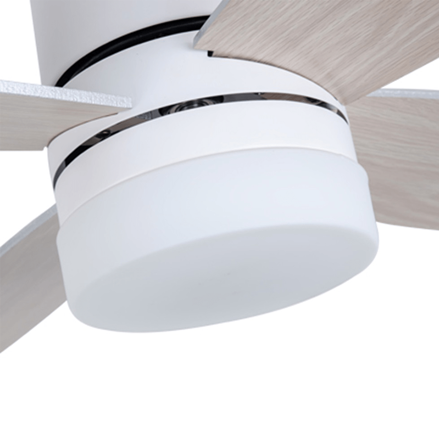 Franka Ceiling Fan