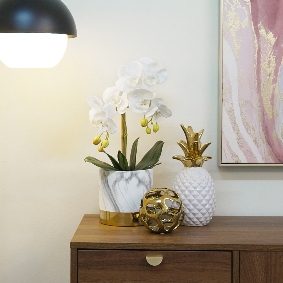 Phalaenopsis White in Gold Pot