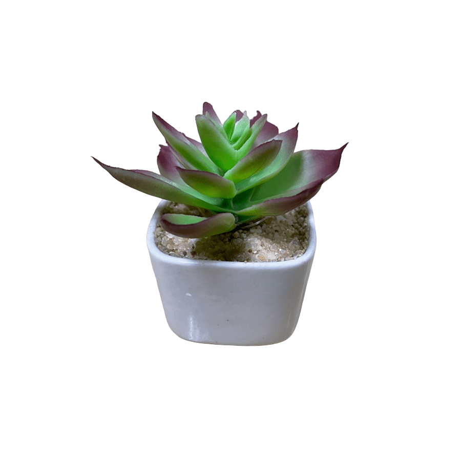 Plush Plant on Pot