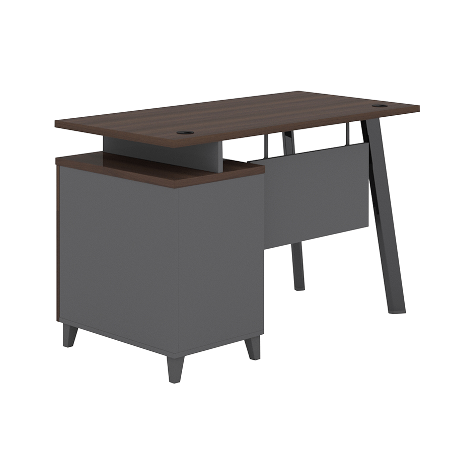 MORE ALICE OPTIONS Alice Desk 120x60 cm with Storage Alice Desk 120x60 cm with Storage Mandaue Foam
