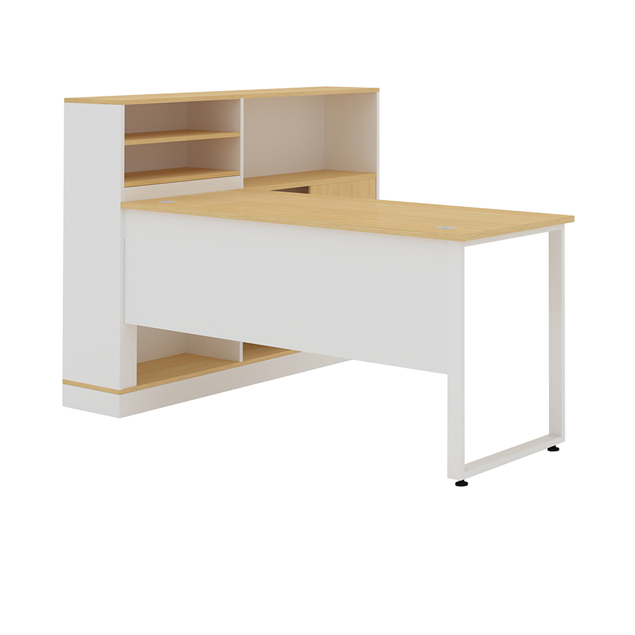Rollins 1S Desk with Storage Cabinet
