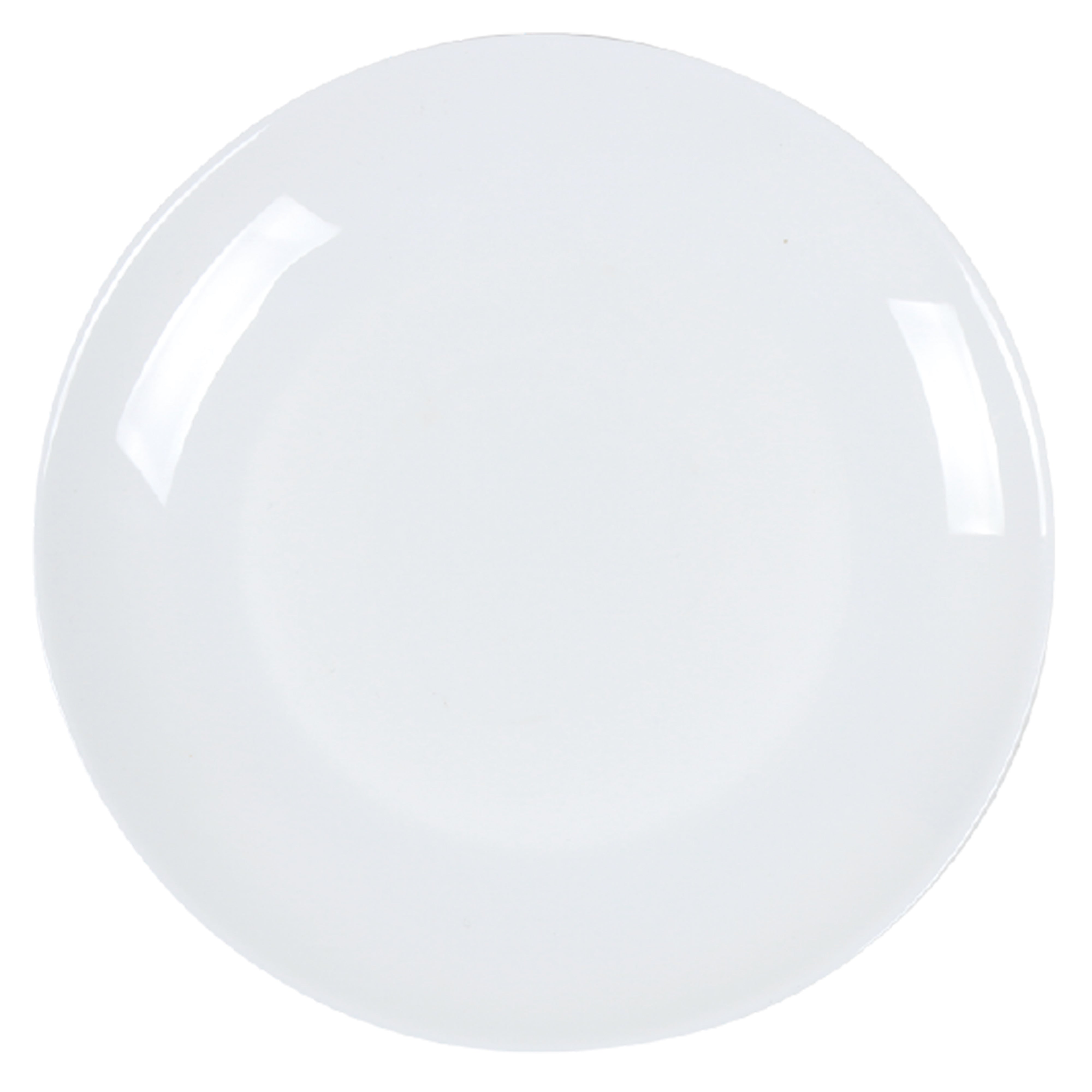 Misha Dinner Plate