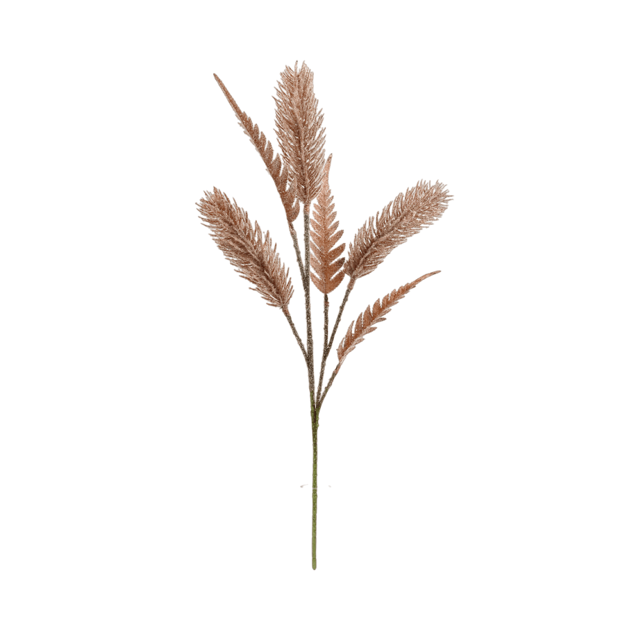 Foxtail Grass Foxtail Grass Mandaue Foam