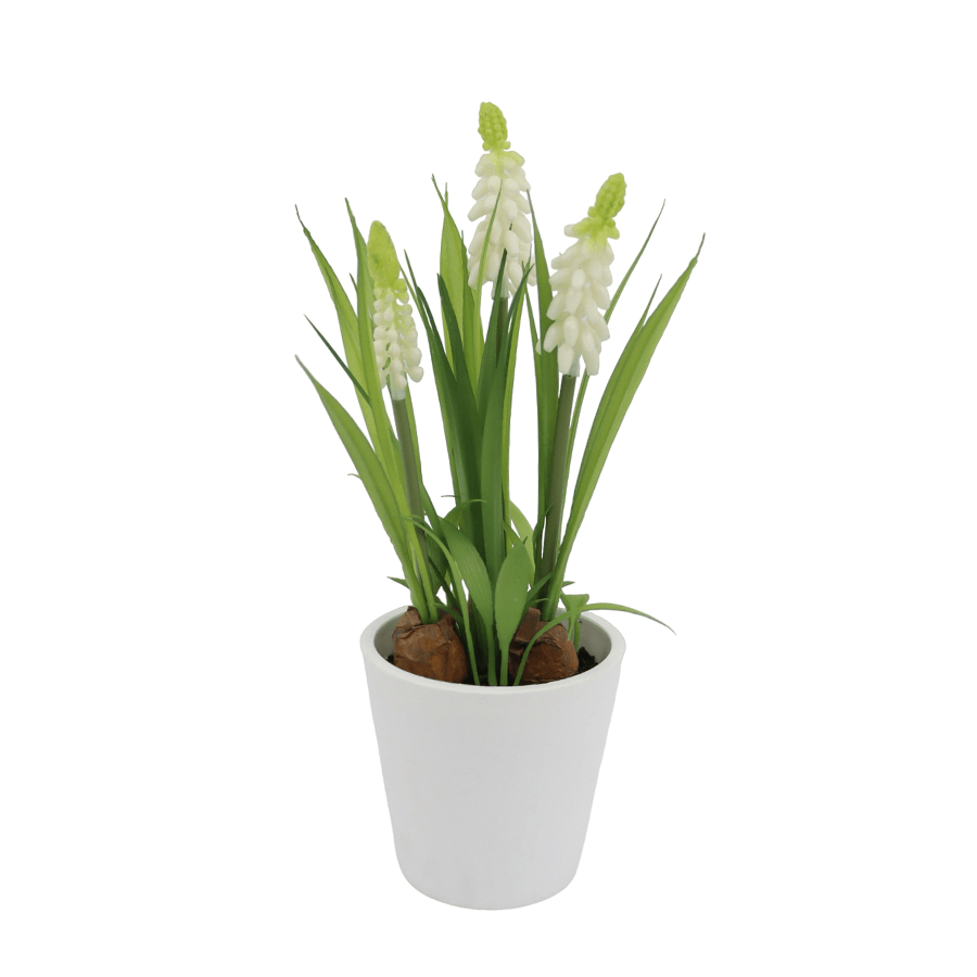 Hyacinth Plant Hyacinth Plant Mandaue Foam