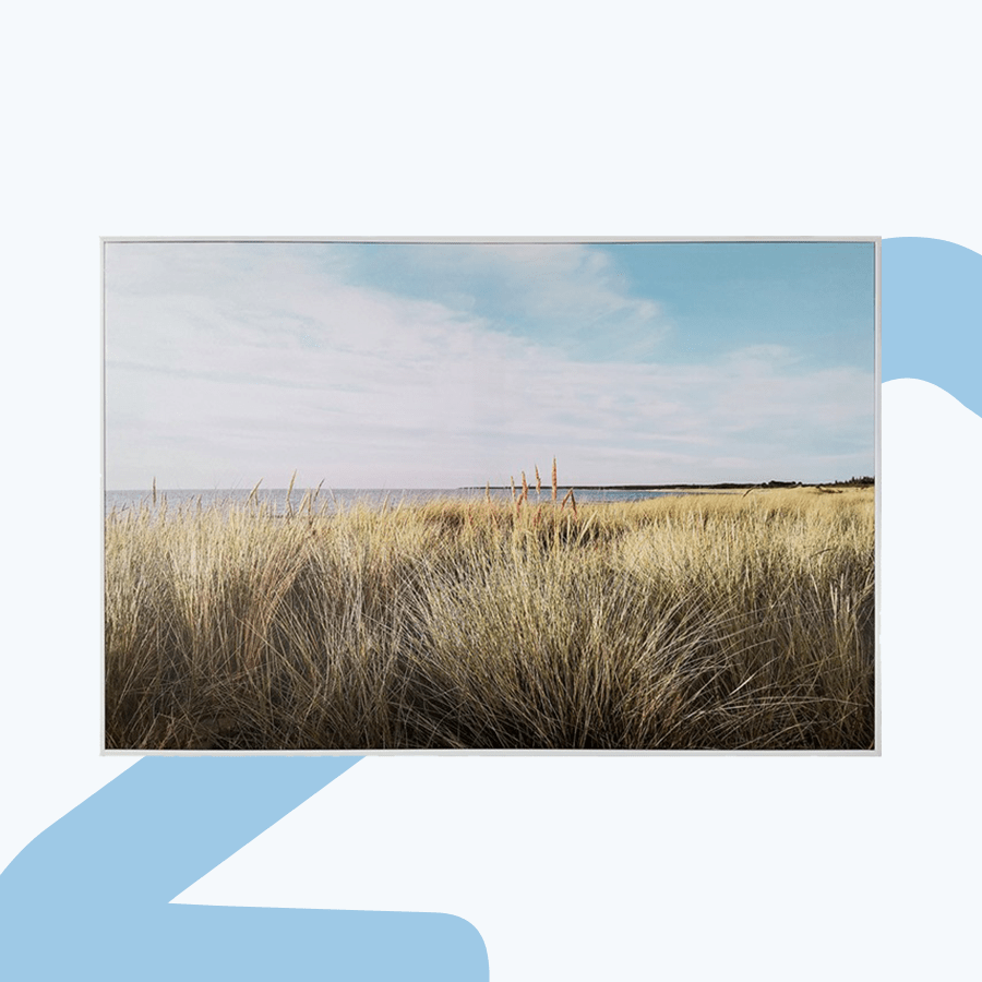 Rane Canvas Wall Art