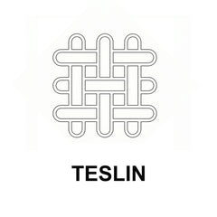 Teslin