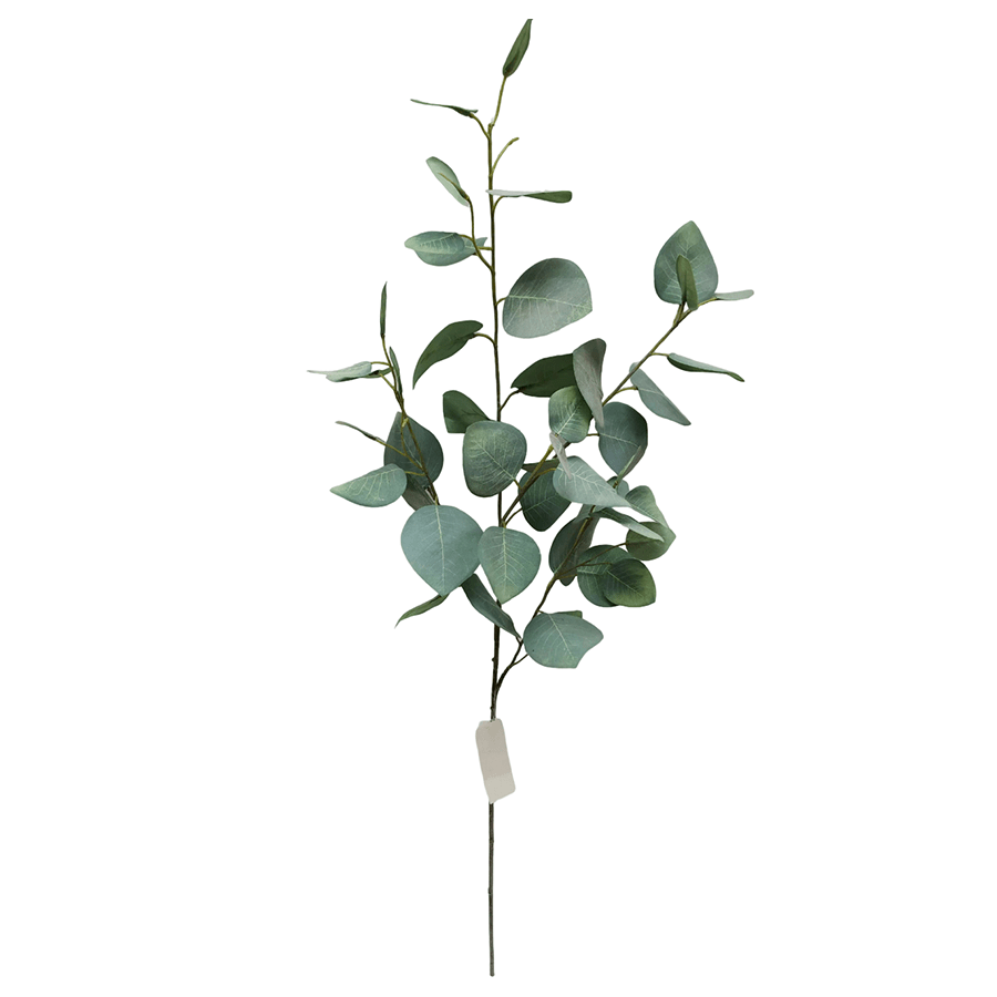 Silver Dollar Eucalyptus Single Leaf