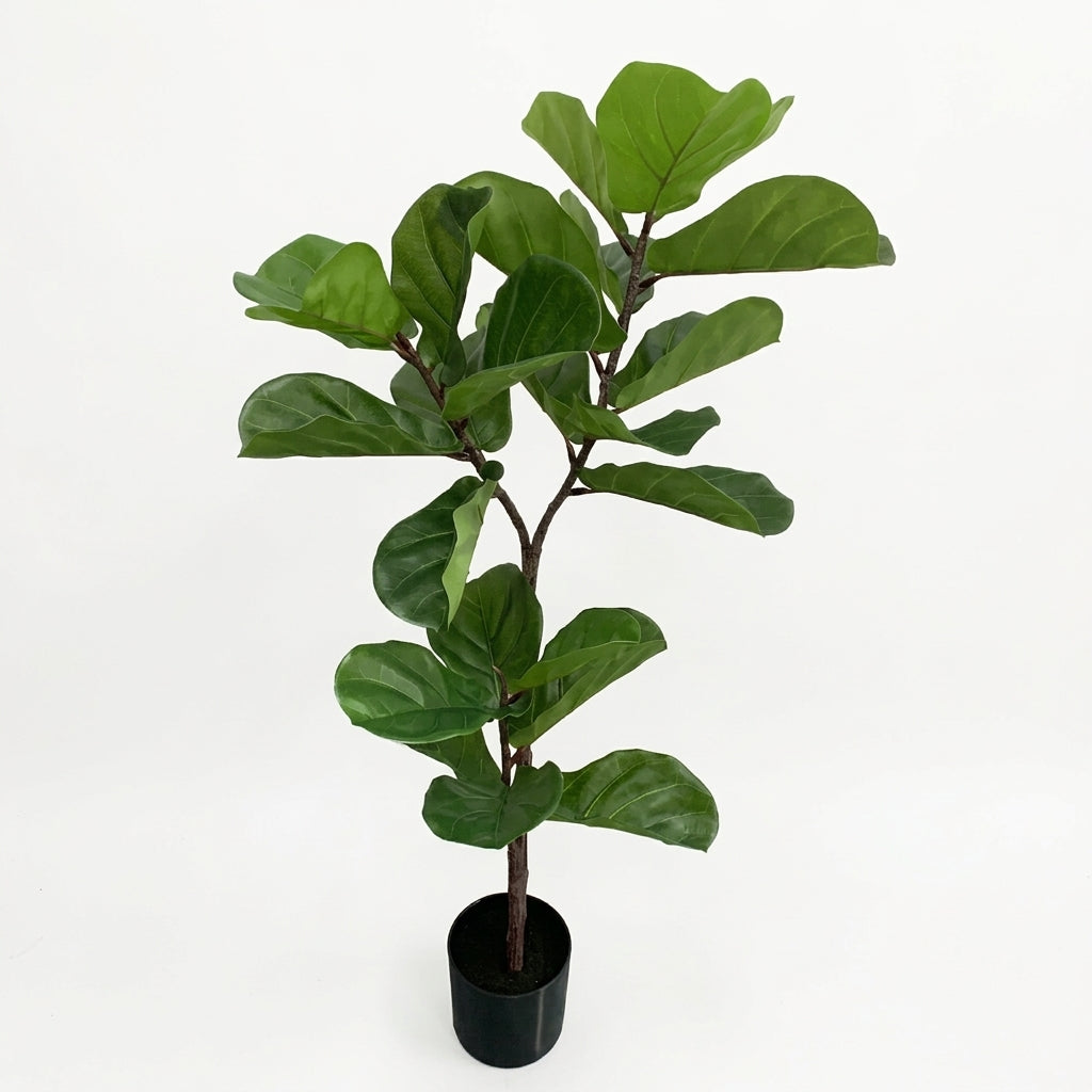 Fiddle Leaf Potted Plant