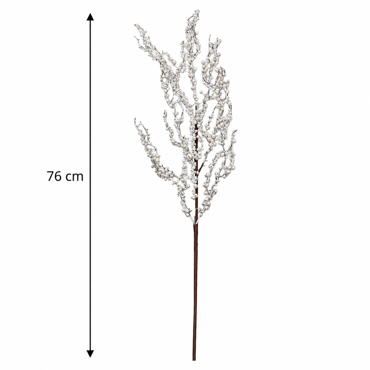 Viburnum White Berry