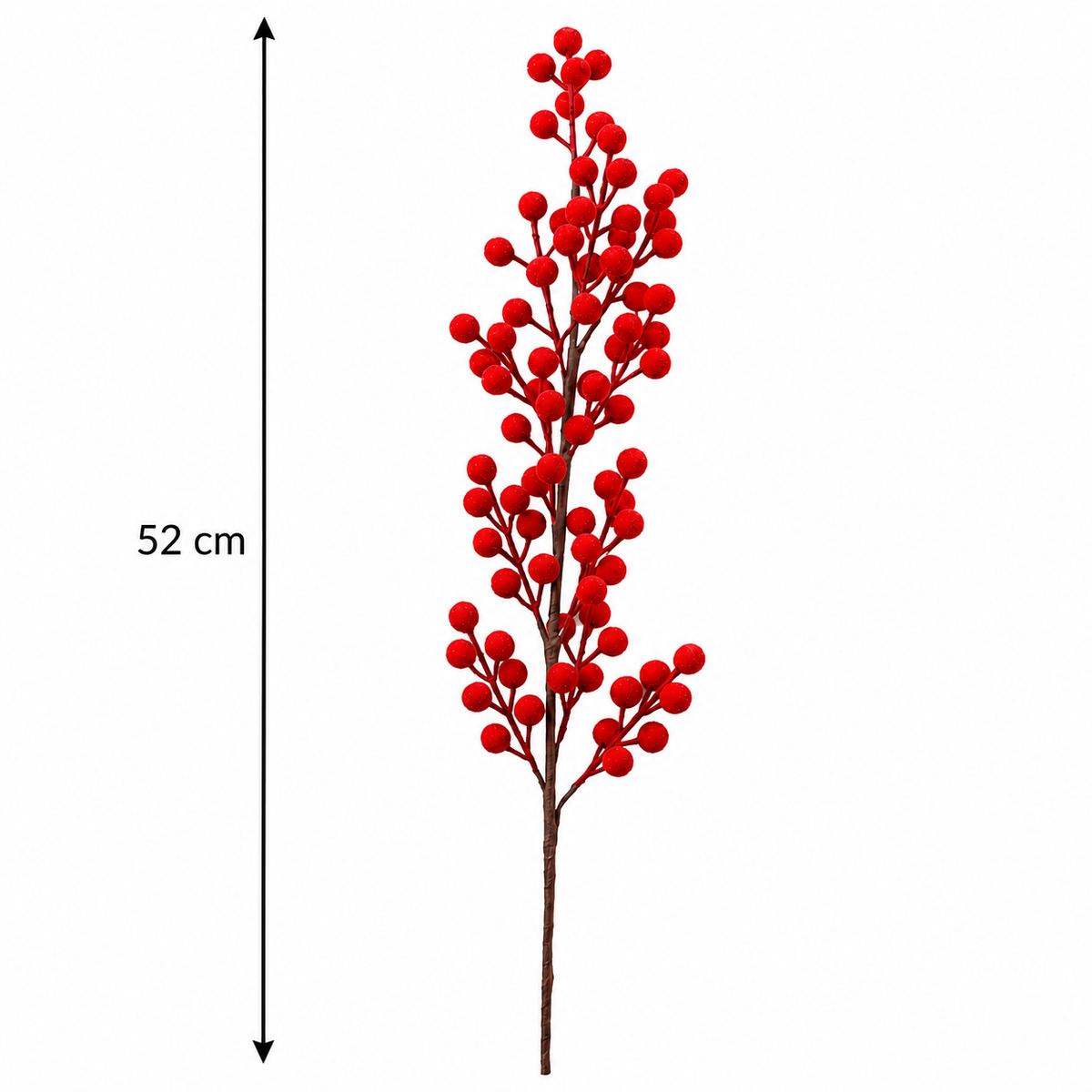 Red Currant Berries