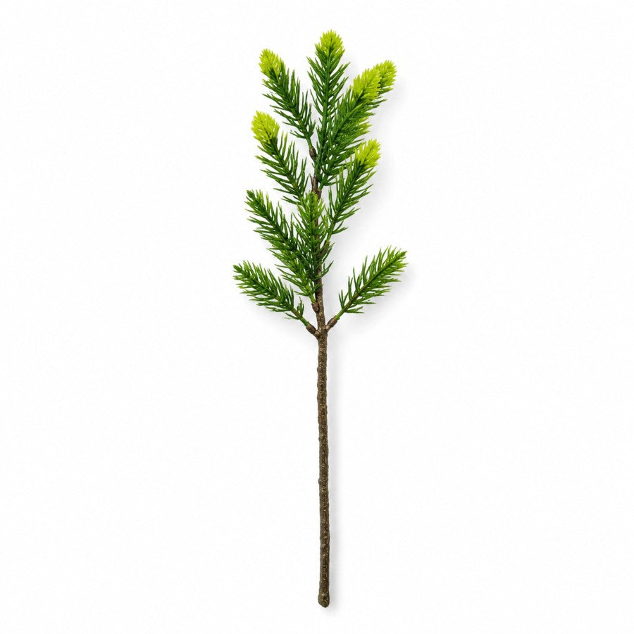 Cedar Leaf