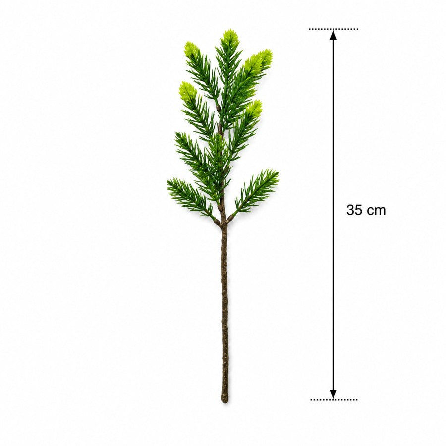 Cedar Leaf