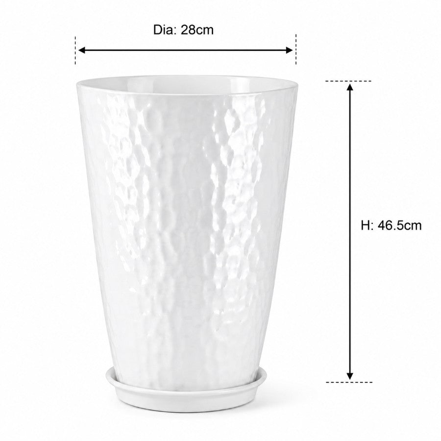 #Size_ 5 cm