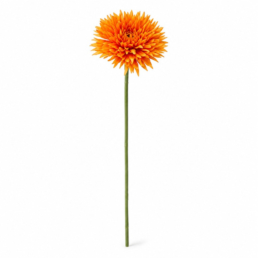 #Color_Orange