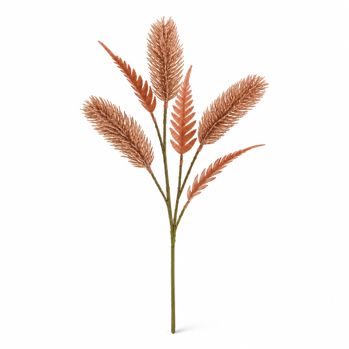 Foxtail Grass