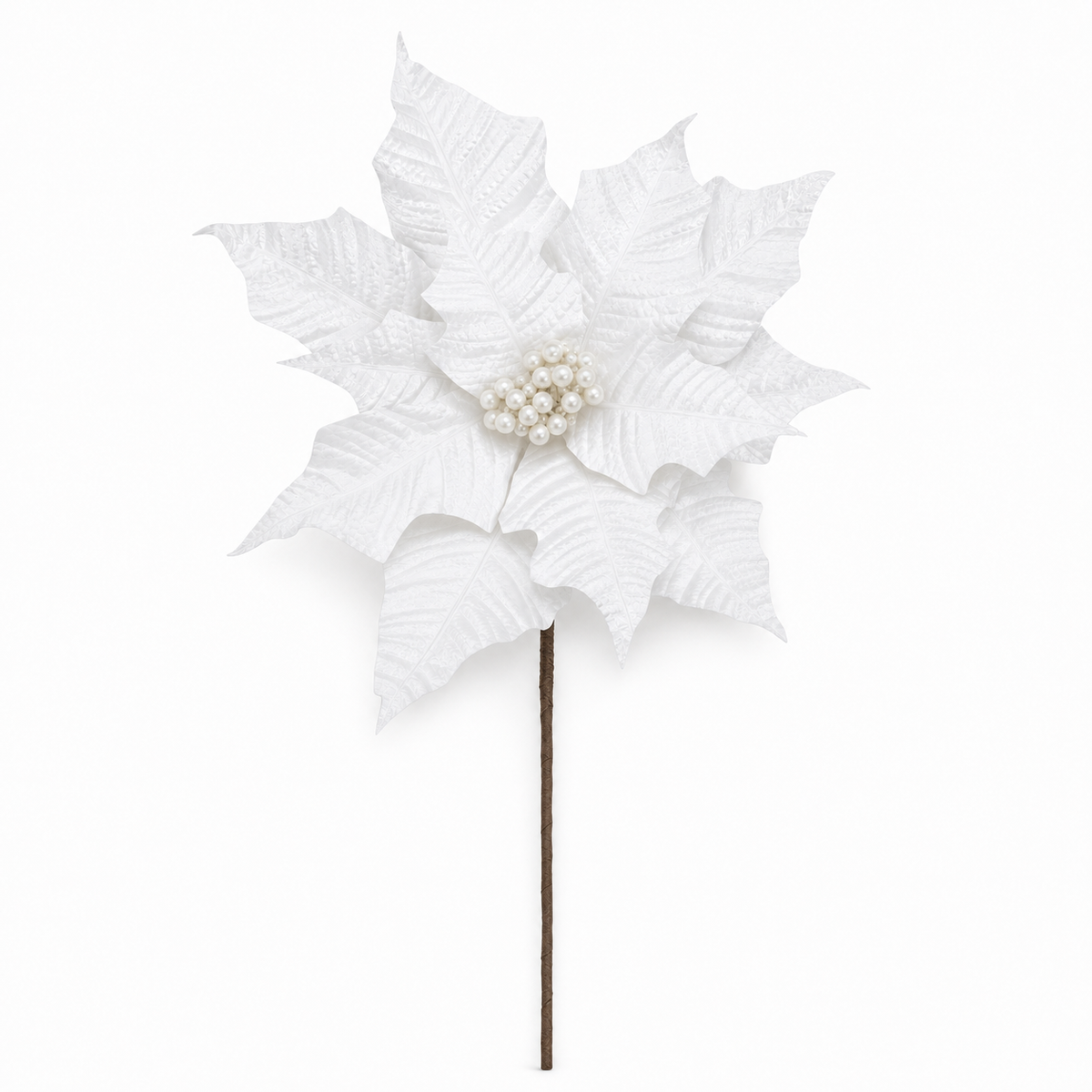 Winter Rose White