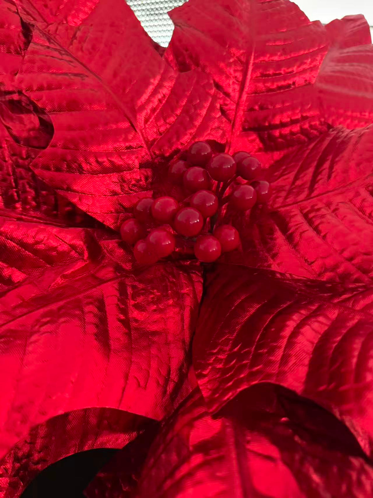 Winter Rose Red