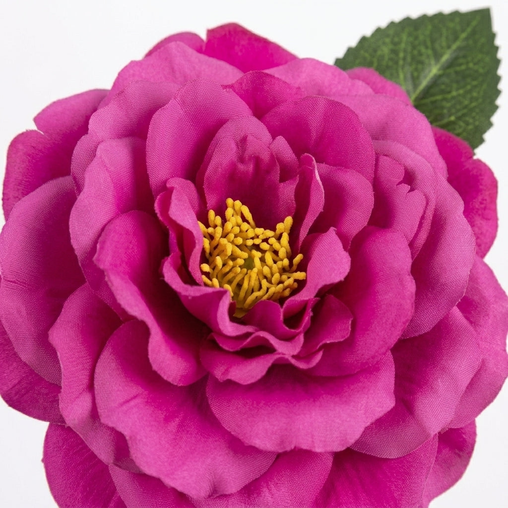 Grandiflora Rose Pink