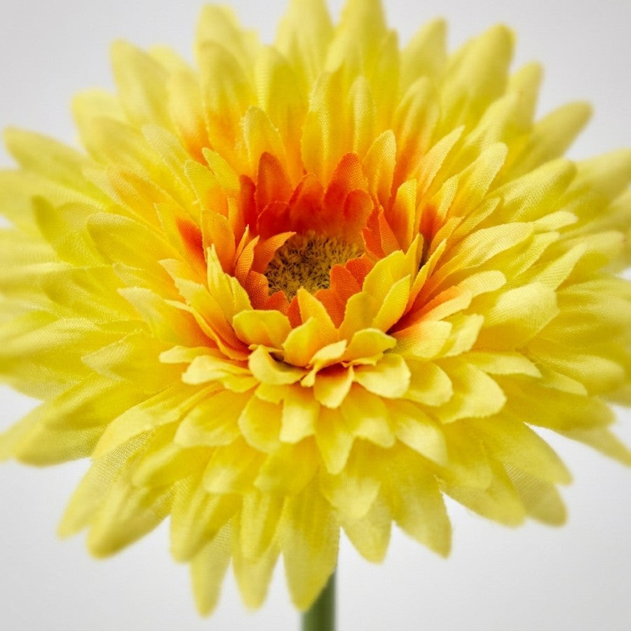 #Color_Yellow