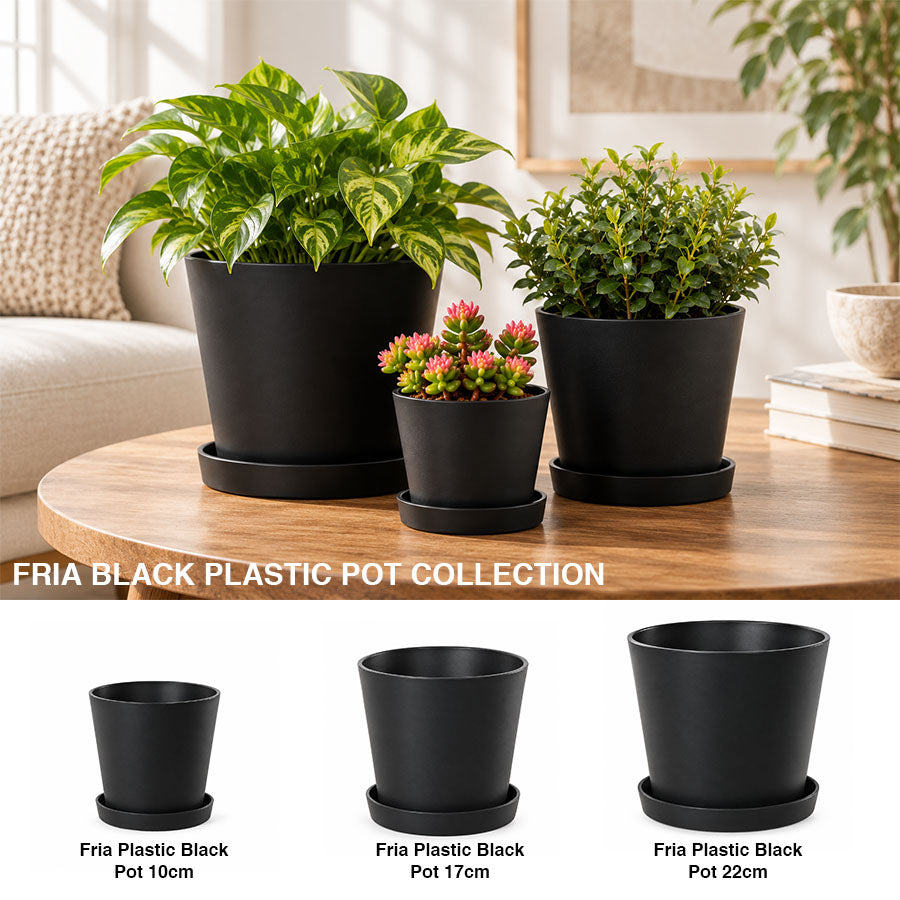 Fria Plastic Black Pot
