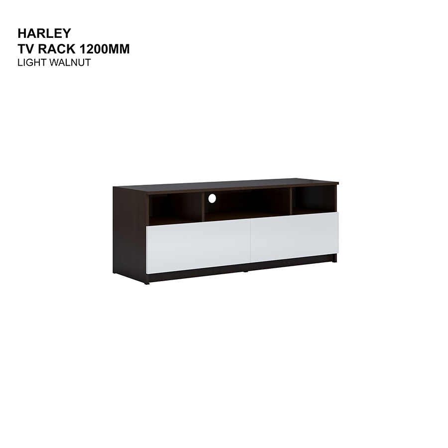 Harley TV Rack