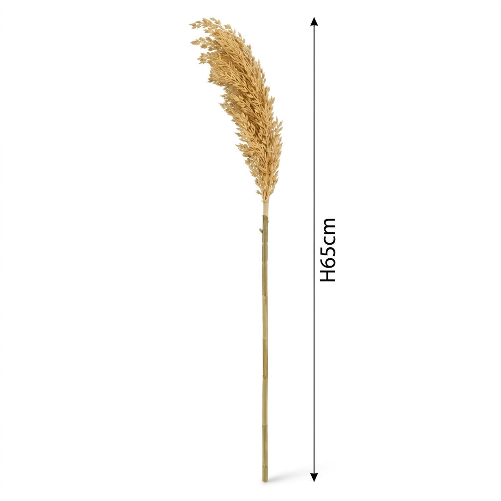 Reed Grass