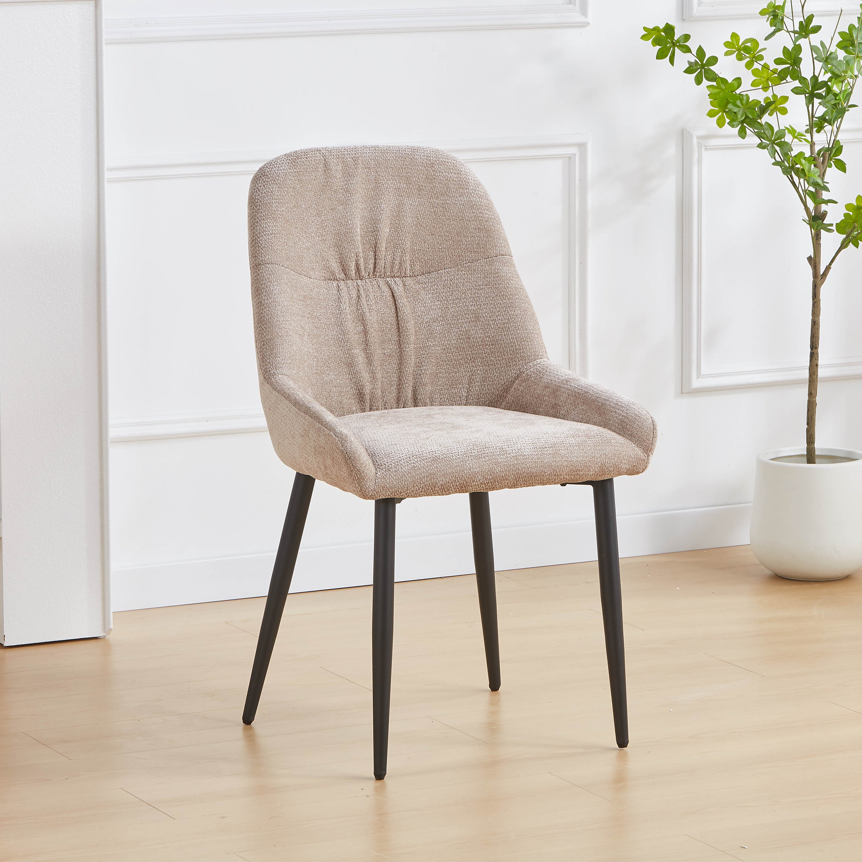 Zephyr Dining Chair
