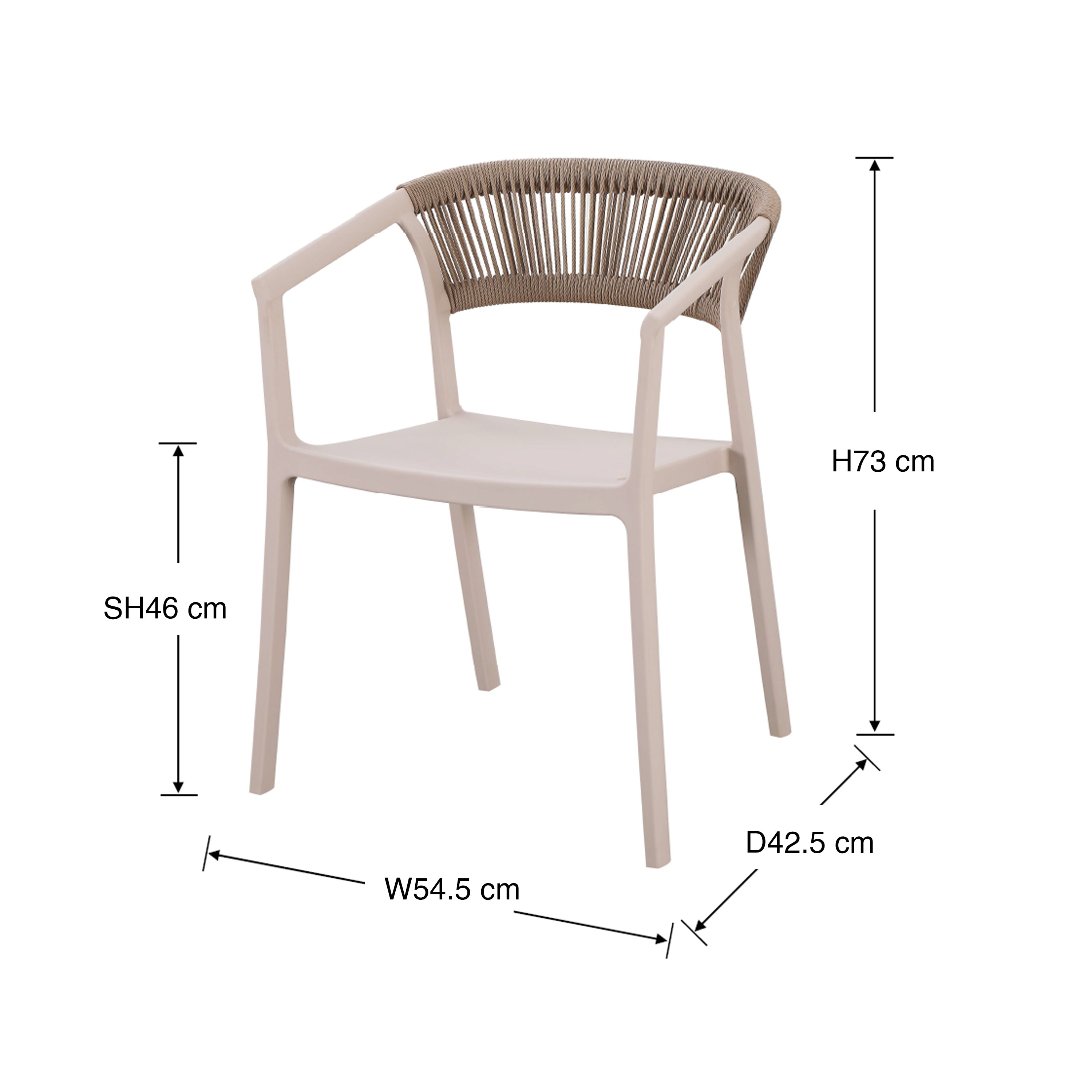 Ollie Dining Chair