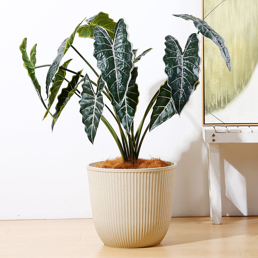 Aspen Plastic Pot Peach