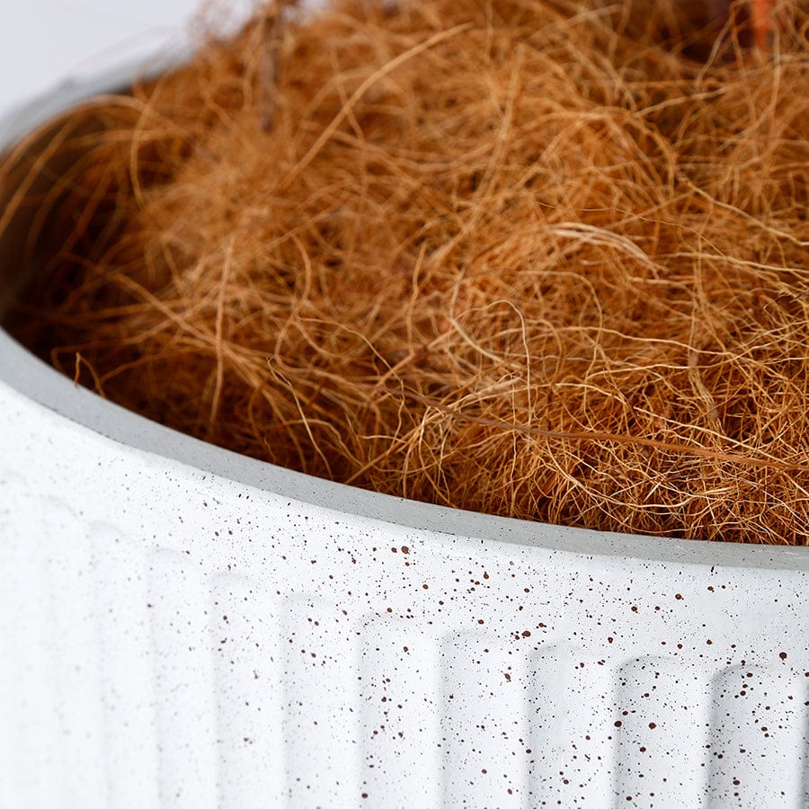 Aspen Plastic White Pot