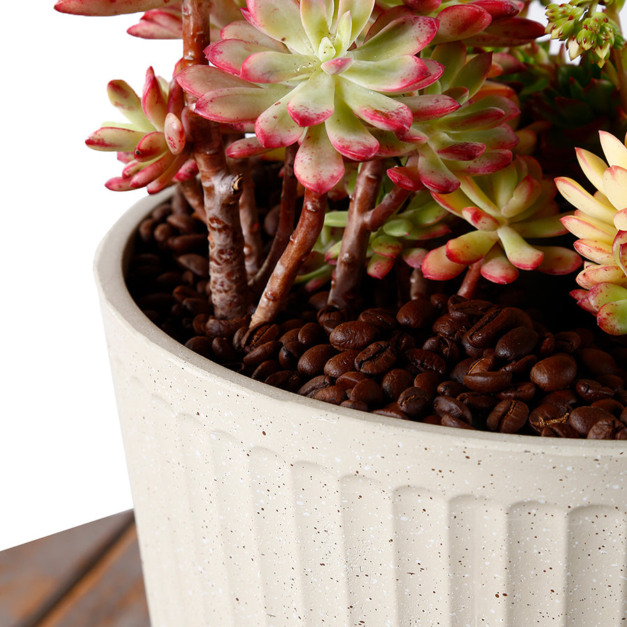 Aspen Plastic Pot Peach