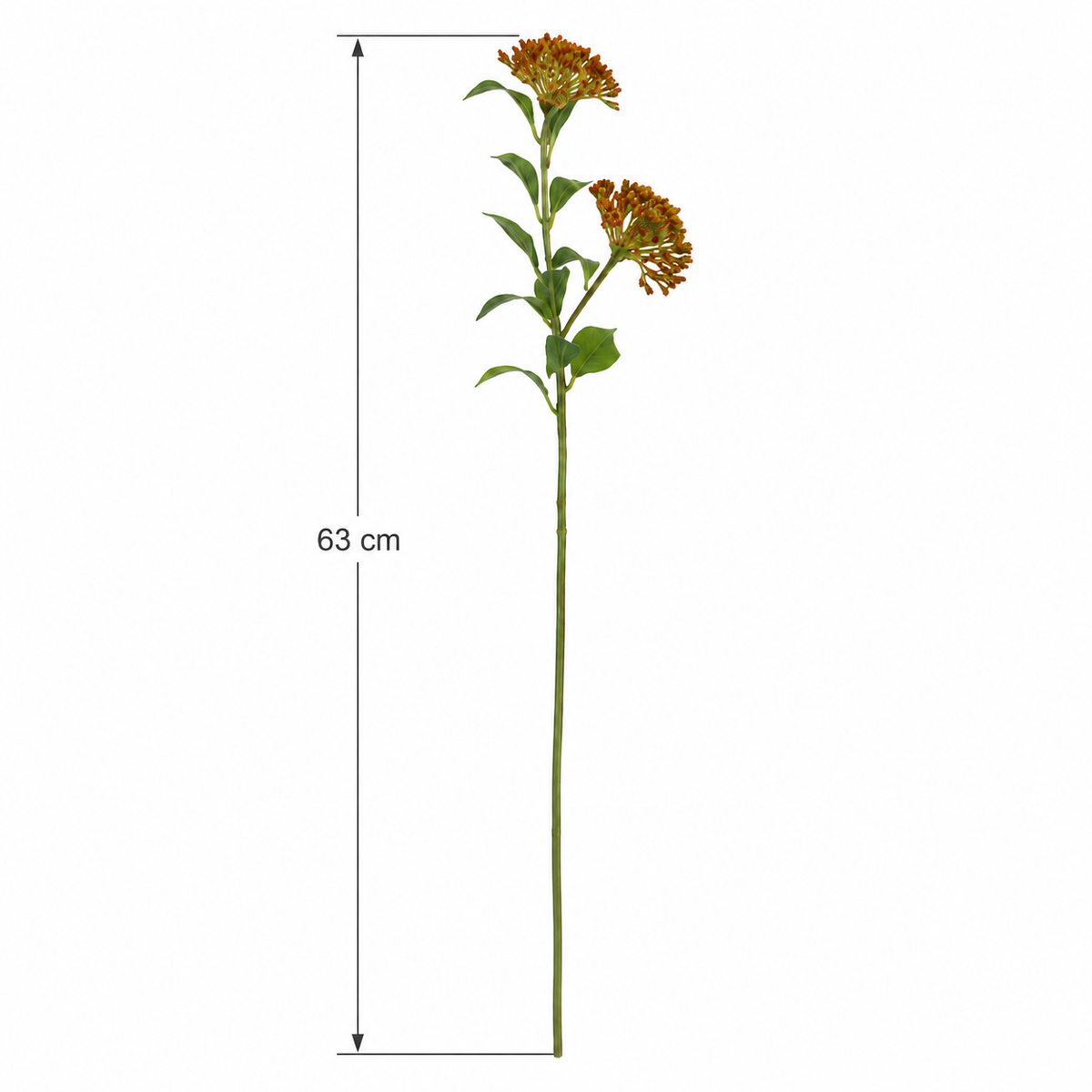 Lindera Flower