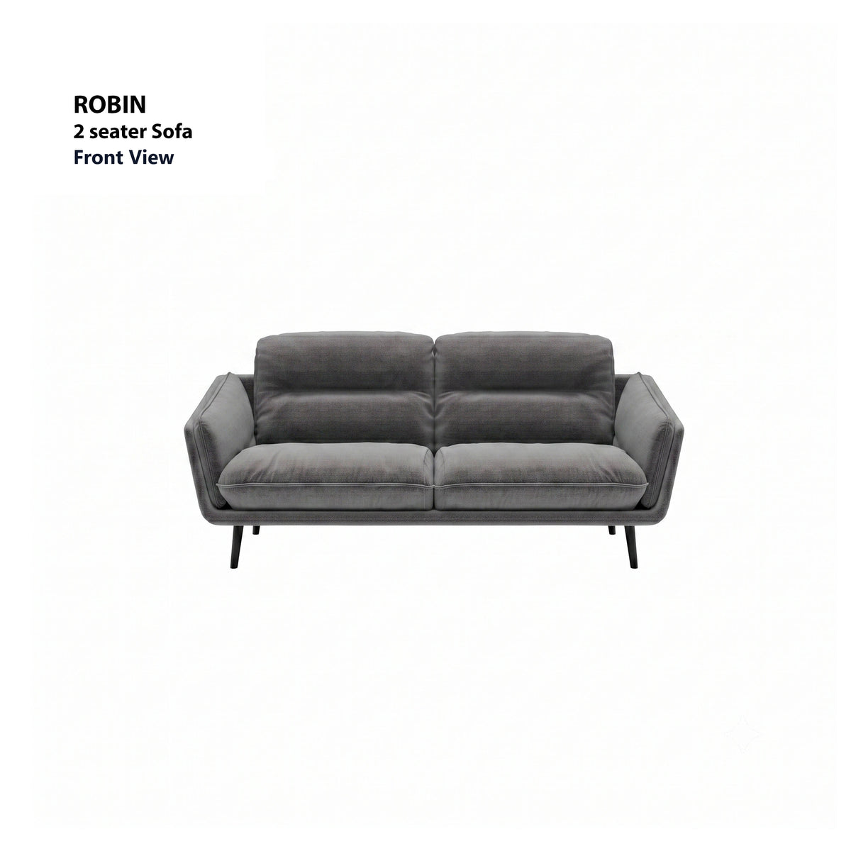 Robin 2 Seater Sofa