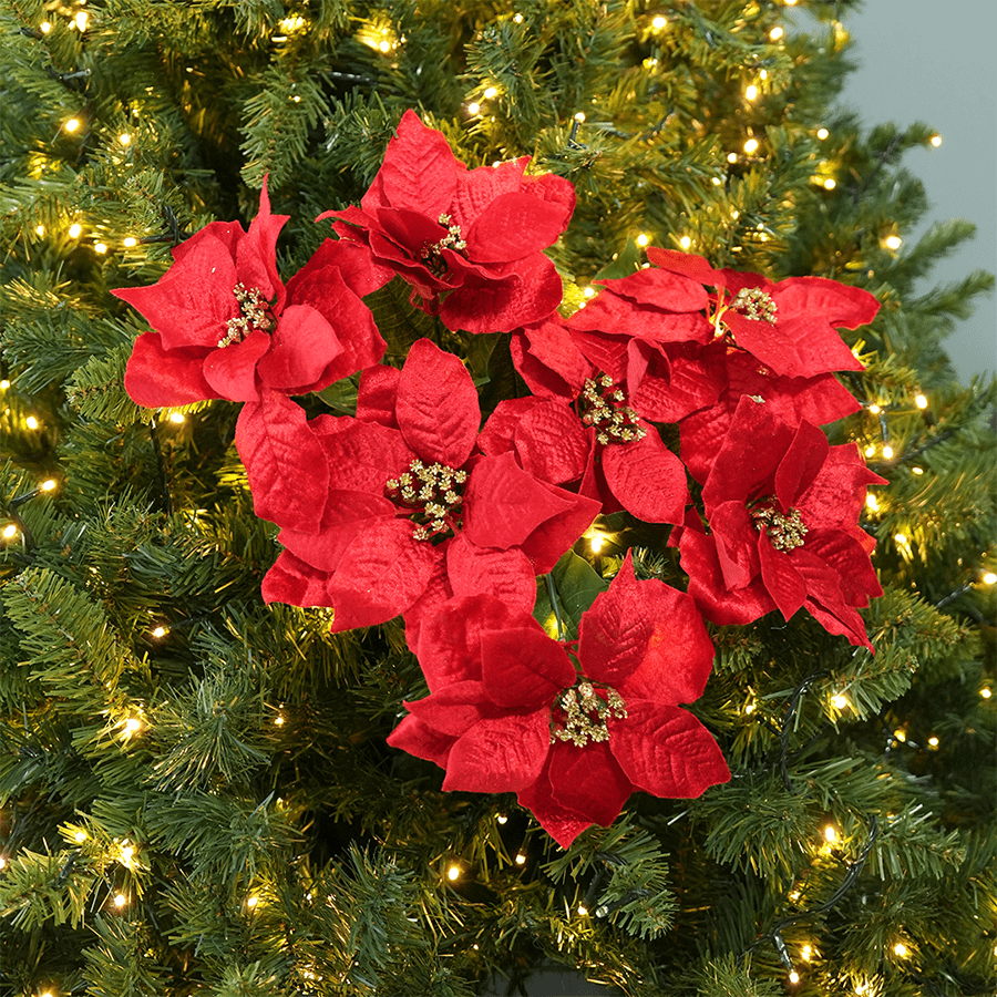 7 Heads Poinsettia Bunch 7 Heads Poinsettia Bunch Mandaue Foam