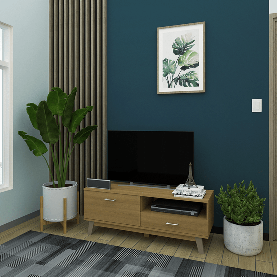 MORE AIDEN OPTIONS Aiden 120 cm Low TV Rack Aiden 120 cm Low TV Rack Mandaue Foam