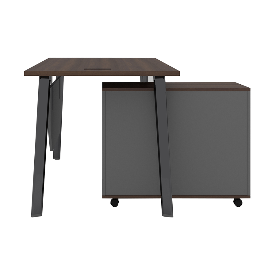 MORE ALICE OPTIONS Alice 160 cm Executive Desk with Mobile Cabinet Alice 160 cm Executive Desk with Mobile Cabinet Mandaue Foam