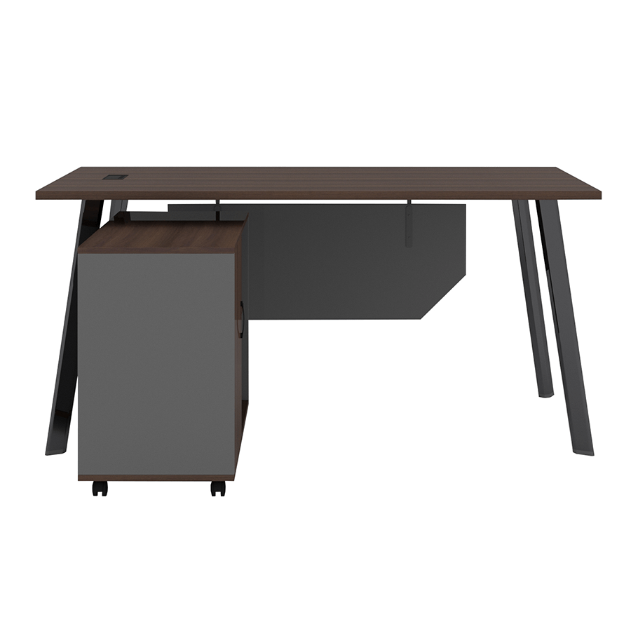MORE ALICE OPTIONS Alice 160 cm Executive Desk with Mobile Cabinet Alice 160 cm Executive Desk with Mobile Cabinet Mandaue Foam