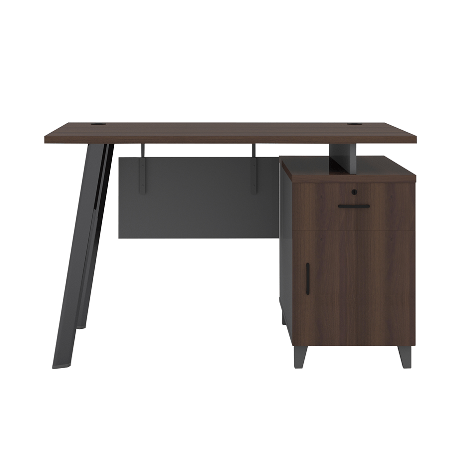 MORE ALICE OPTIONS Alice Desk 120x60 cm with Storage Alice Desk 120x60 cm with Storage Mandaue Foam