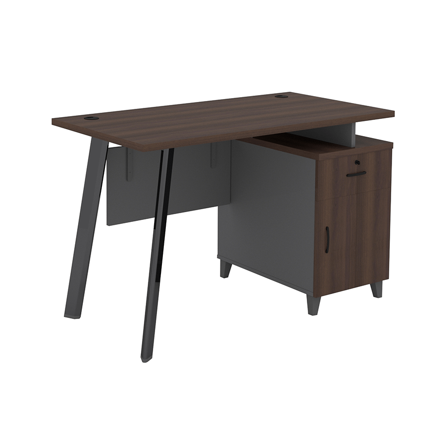 MORE ALICE OPTIONS Alice Desk 120x60 cm with Storage Alice Desk 120x60 cm with Storage Mandaue Foam