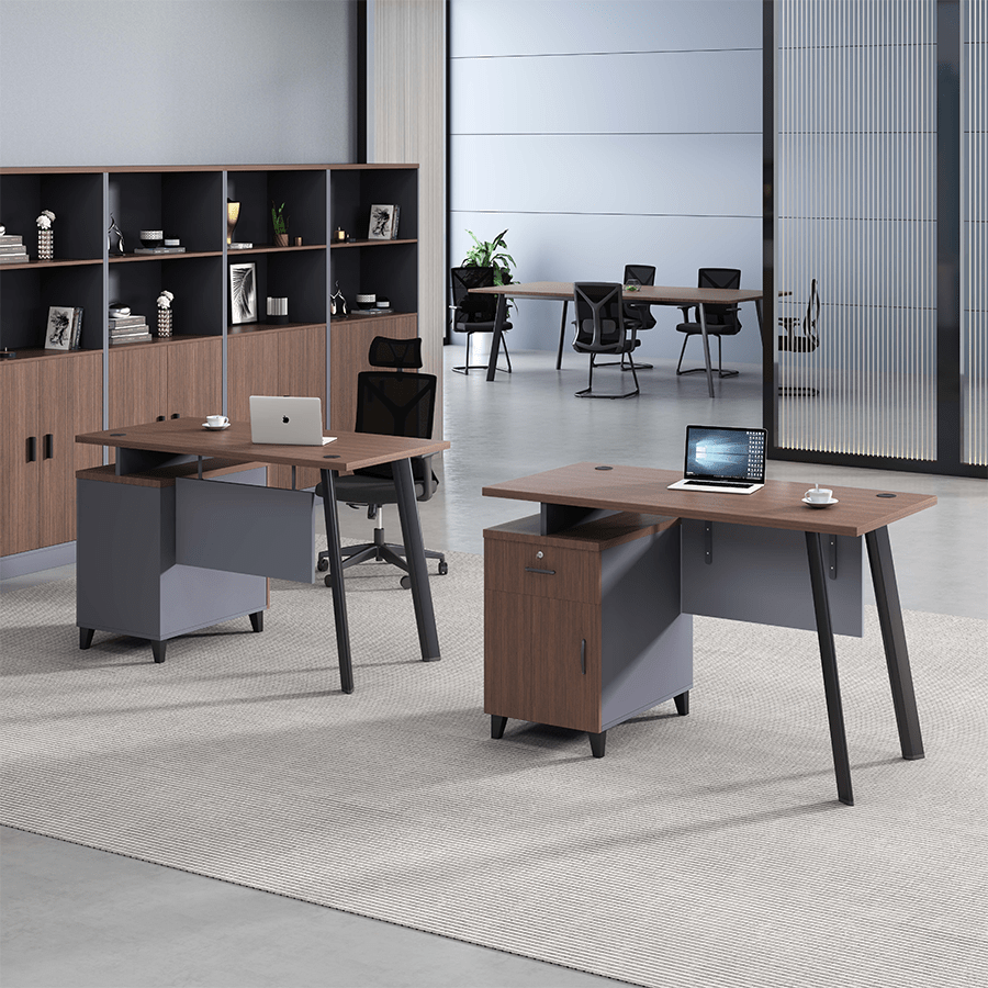 MORE ALICE OPTIONS Alice Desk 120x60 cm with Storage Alice Desk 120x60 cm with Storage Mandaue Foam