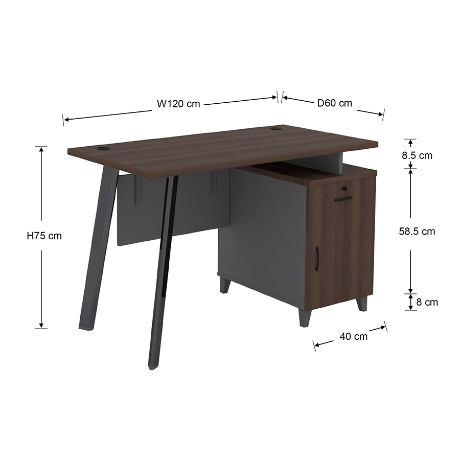 MORE ALICE OPTIONS Alice Desk 120x60 cm with Storage Alice Desk 120x60 cm with Storage Mandaue Foam