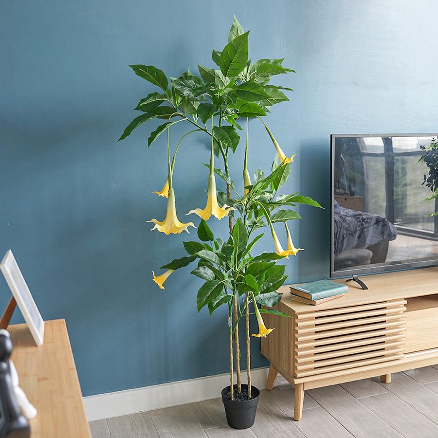 Angel Trumpet Potted Plant 160 cm