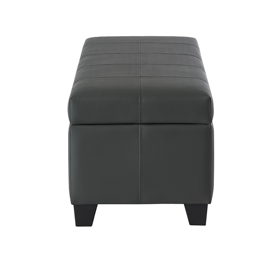 MORE AVERILL OPTIONS Averill Storage Bench - Faux Leather Averill Storage Bench - Faux Leather Mandaue Foam