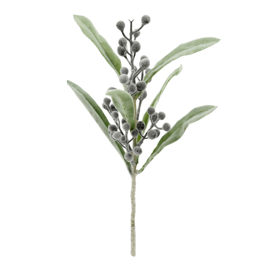 Coix Spray Coix Spray Mandaue Foam