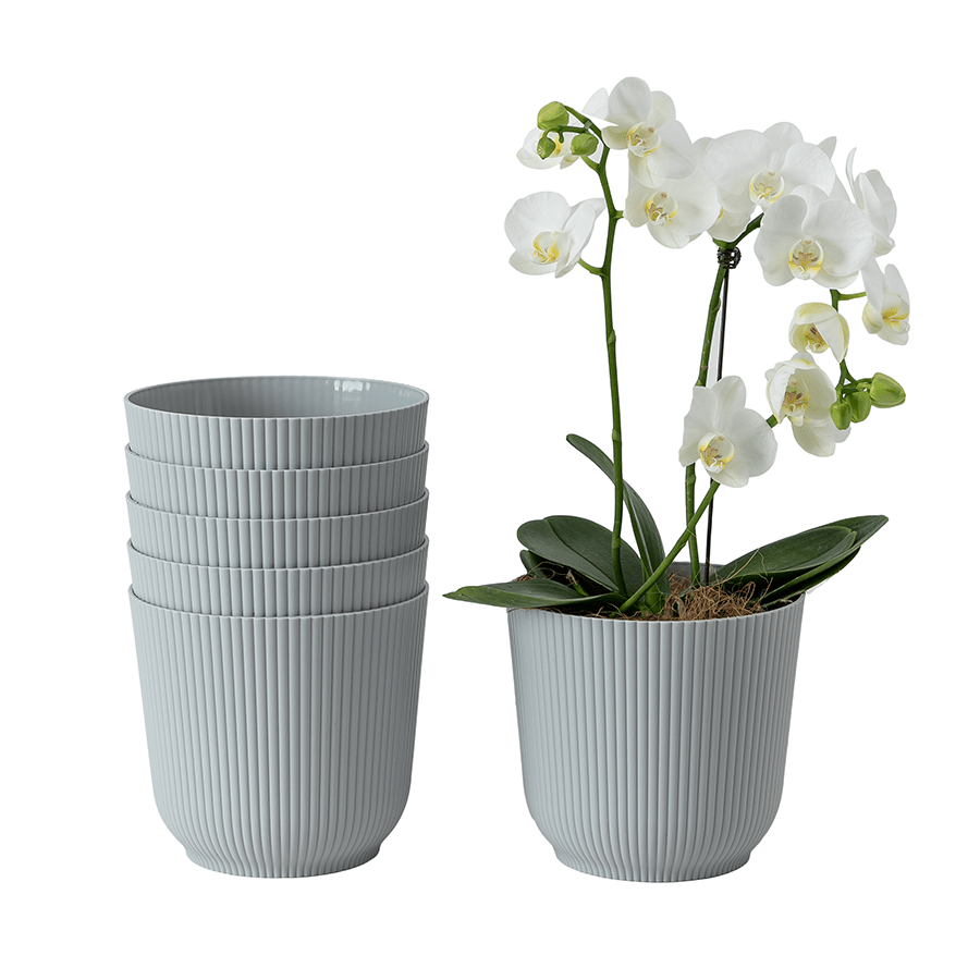 Darcy Plastic Pot Darcy Plastic Pot 16 cm Mandaue Foam