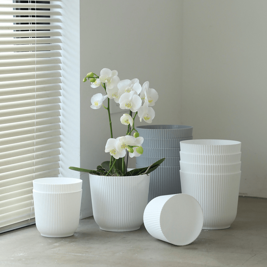 Darcy Plastic Pot Darcy Plastic Pot 16 cm Mandaue Foam