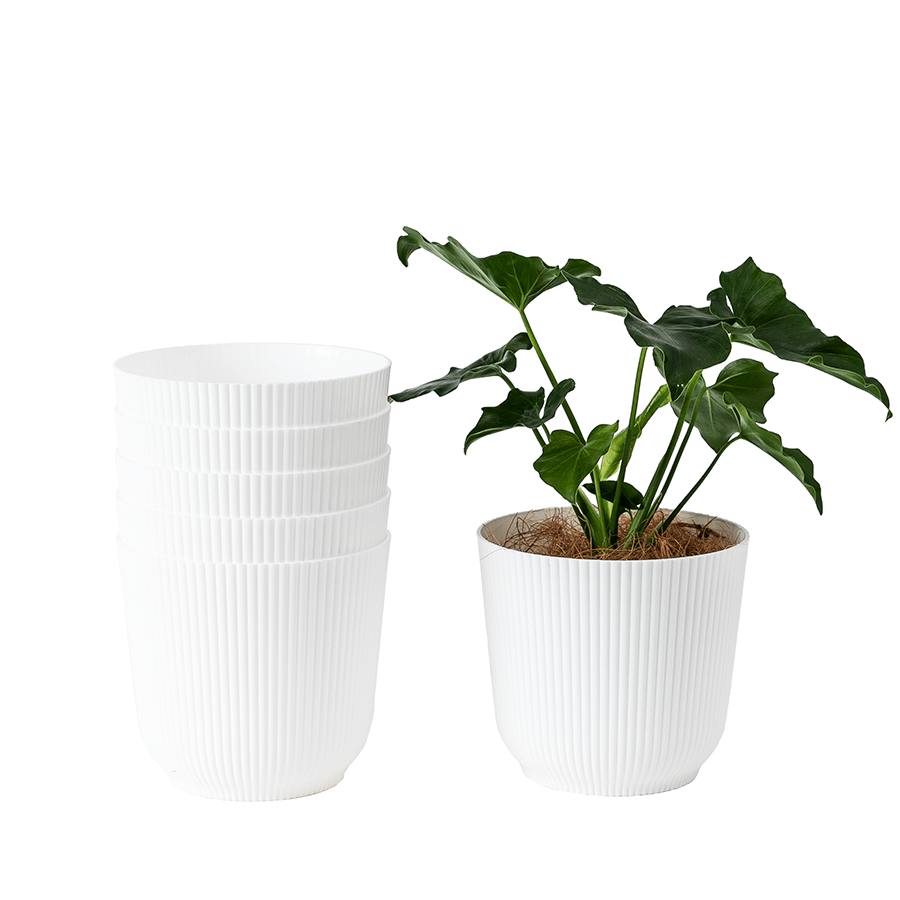Darcy Plastic Pot Darcy Plastic Pot 16 cm Mandaue Foam