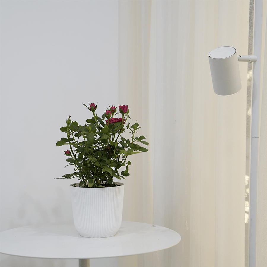 Darcy Plastic Pot Darcy Plastic Pot 16 cm Mandaue Foam
